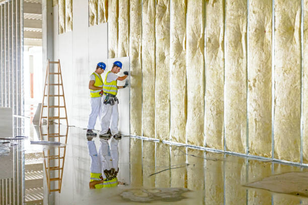 Soundproof Insulation Installation in Oak Park, CA